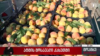 ატმის მოსავალი კახეთში