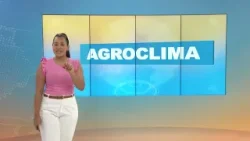 Terça-feira começa chuvosa em grande parte do Sudeste | 17/02/2026