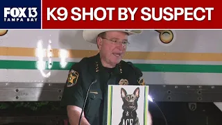 Grady Judd: K9 critical after shootout with suspect