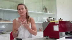 Funcionamiento del laboratorio de calidad industrial de INTA Marcos Juárez