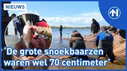 Het Lauwersmeer zit tjokvol vis: 'Echt alles kwamen we tegen'
