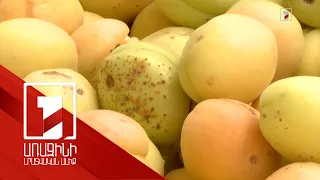 Ծիրանը պետք է վաճառել հատով, ոչ թե կիլոգրամով և շեշտել հայկական ինքնությունը. մասնագետի առաջարկը