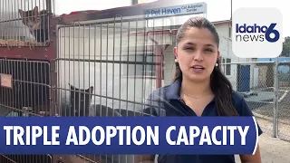Pet Haven Under Construction on New Nampa Adoption Center