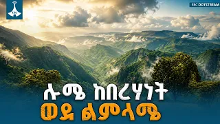 ከበረሃነት ወደ ልምላሜ – በሉሜ ወረዳ በአረንጓዴ አሻራ የተመዘገበው ተአምር | Green Legacy | Ecosystem Restoration |