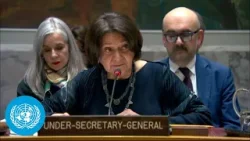 Energy, Critical Minerals, and Security - DPPA Briefing | United Nations