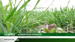КЛИМАТИЧНИ ПРОМЕНИ: Какво е актуалното състояние на есенниците?