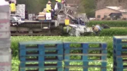 Проблемы с топливом и водой стоят перед сельскохозяйственной отраслью Аризоны.