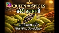 The Food Show: सोने से महंगी इलायची! | India’s Queen of Spices | The Flavours of India | Ep - 04