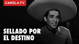 Una gran estafa se avecina | AMOR SE DICEN CANTANDO | Cine de Oro | Canela.TV