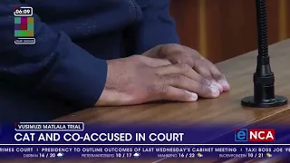 'Cat' Matlala back in dock as R228m SAPS tender case continues