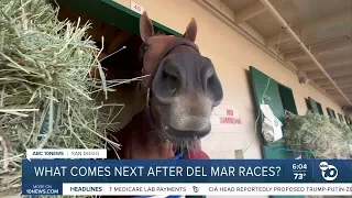 Where Del Mar's thoroughbreds go after the finish line