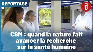 CSM: when nature drives progress in human health research