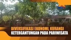 ECONOMIC DIVERSIFICATION: REDUCING RELIANCE ON TOURISM