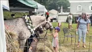 Community raises money for Branford farm devastated by fire