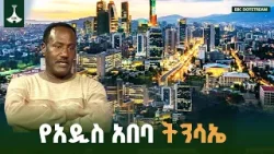 የአዲስ አበባ ትንሳኤ ETV | EBC | EBCDOTSTREAM የአዲስ አበባ ትንሳኤ ETV | EBC | EBCDOTSTREAM