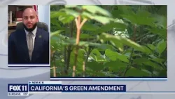 Understanding California's Green Amendment