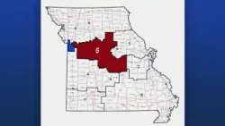 На данный момент в выборах в 5-м избирательном округе штата Миссури участвуют пять республиканцев.