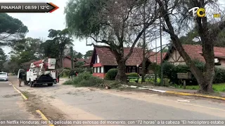 Street pruning and cleaning