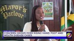 Concern Grows Over Rising Hand, Foot and Mouth Disease Cases | TVJ News