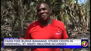 Farm Fire Burns Bananas, Other Crops in Hopewell St Mary; Millions in Losses | TVJ News