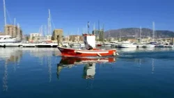 Informativo Fuengirola Televisión 19-02-2026