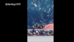 Info Martí | Crucero de Carnival entrega a guardacostas de EEUU balseros rescatados