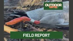 Outdoor GPS 1/24 Owin's Field Report