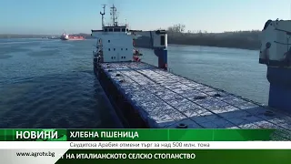 ХЛЕБНА ПШЕНИЦА: Саудитска Арабия отмени търг за над 500 млн. тона