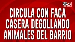 Tremendo: denuncian que circula con faca y degüella a los animales del barrio