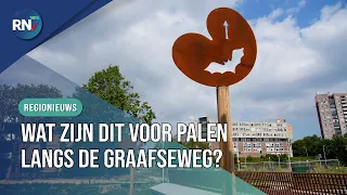 What are those 'bat poles' along the Graafseweg anyway? || RN7 REGIONAL NEWS