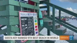'Siesta Beach delivers': Florida beach ranked among the best in the world
