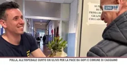 SRV POLLA, CURTO ULIVO SRV POLLA, CURTO ULIVO