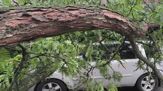 Cleanup continues in Queens after back-to-back storms