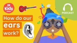 How do our ears work? 🎸👂| Imagine This PODCAST | ABC Kids Listen