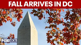 Fall relief arrives in DC as temperatures drop