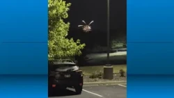 Fireworks seen during early morning hours in Springdale
