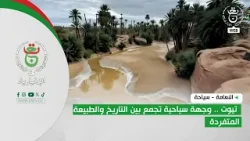 النعامة - سياحة | تيوت .. وجهة سياحية تجمع بين التاريخ والطبيعة المتفردة النعامة - سياحة | تيوت .. وجهة سياحية تجمع بين التاريخ والطبيعة المتفردة