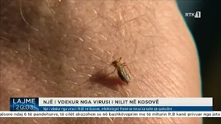 Një i vdekur nga virusi i Nilit në Kosovë, infektologët thonë se virusi ka kohë që qarkullon