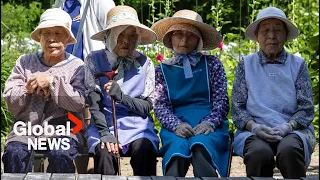 Lessons for Canada as Japan tops more than 100K people aged 100 or older