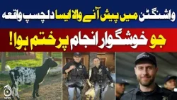 Washington | Auburn Police | Funny Call | Retirement Community Goat Story - Aaj Pakistan News