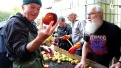 JT DES TERRITOIRES - 27/12/25 - L’intelligence artificielle est partout ! JT DES TERRITOIRES - 27/12/25 - L’intelligence artificielle est partout !