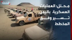 Analyst: Military Operations in Yemen Are Proceeding According to Plan