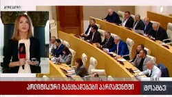 პოლიტიკური განცხადებები პარლამენტში