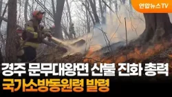 경주 문무대왕면 산불 진화 총력…국가소방동원령 발령 / 연합뉴스TV (YonhapnewsTV)
