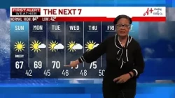 Your First Alert Forecast