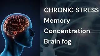 Chronic stress may age your brain and affect how you think, experts say