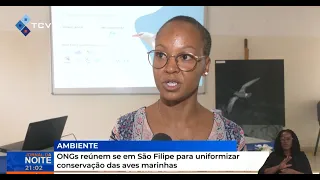 NGOs meet in São Filipe to standardize seabird conservation