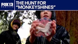 Monkeyshines 2026: Tacoma’s beloved Year of the Fire Horse art hunt is officially on