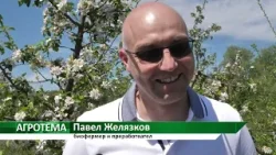 Агротема: Успешен пример в биоземеделието край Кюстендил