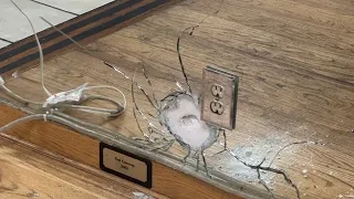2 shot, teen arrested after hundreds swarm St. Ann dance studio party